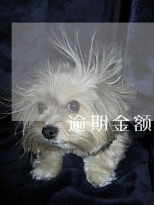 逾期金额天数 逾期金额天数