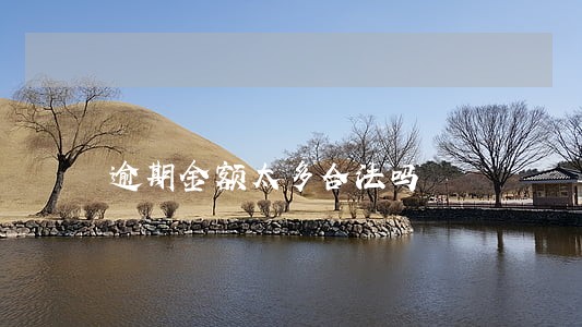 逾期金额太多合法吗 逾期金额太多合法吗