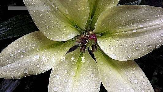 逾期金额太高 逾期金额太高