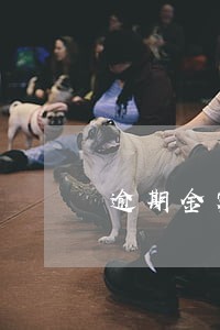 逾期金额如何写入本金 逾期金额如何写入本金