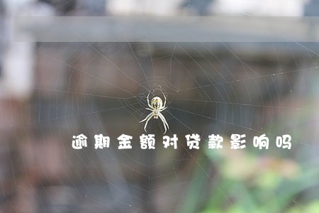 逾期金额对贷款影响吗 逾期金额对贷款影响吗