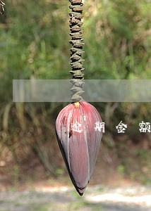 逾期金额小 逾期金额小
