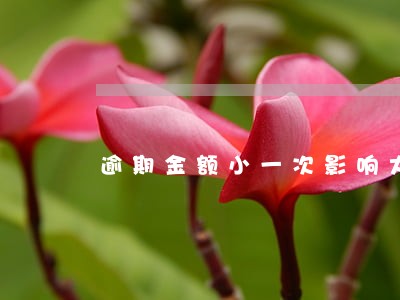 逾期金额小一次影响大吗 逾期金额小一次影响大吗