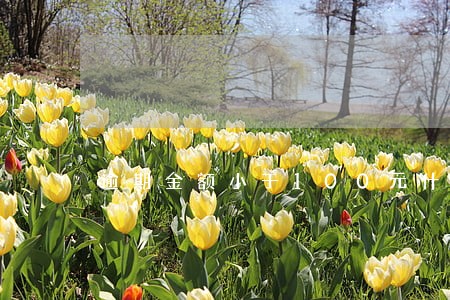 逾期金额小于100元什么意思 逾期金额小于100元什么意思