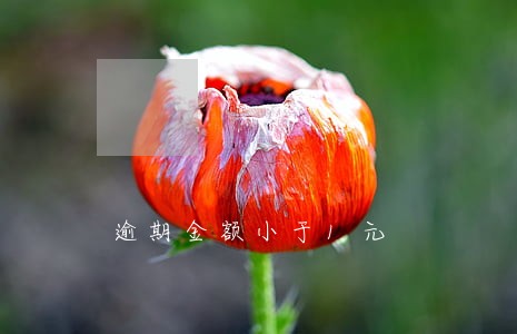 逾期金额小于1元 逾期金额小于1元