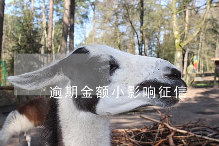 逾期金额小影响征信 逾期金额小影响征信