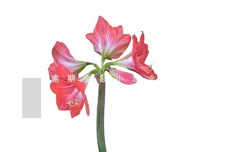 逾期金额小怎么处理