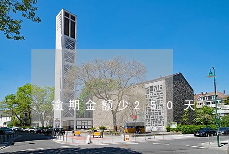 逾期金额少250天 逾期金额少250天