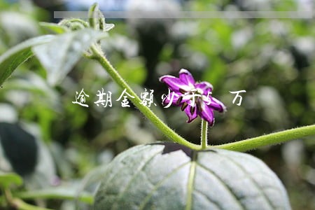 逾期金额少于5万