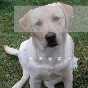 逾期金额少会打电话给家里人吗 逾期金额少会打电话给家里人吗
