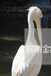 逾期金额少就是时间比较久 逾期金额少就是时间比较久