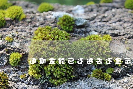 逾期金额已还进去还显示逾期 逾期金额已还进去还显示逾期