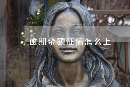 逾期金额征信怎么上 逾期金额征信怎么上
