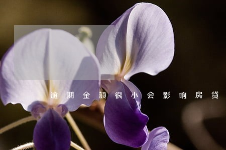 逾期金额很小会影响房贷吗 逾期金额很小会影响房贷吗