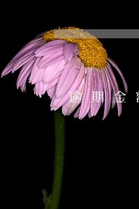 逾期金额很小影响银行入职吗 逾期金额很小影响银行入职吗