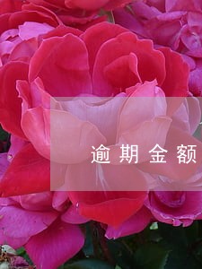 逾期金额很少 逾期金额很少