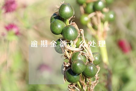 逾期金额怎么处理 逾期金额怎么处理