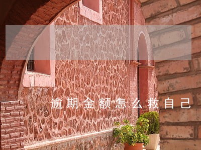 逾期金额怎么救自己 逾期金额怎么救自己