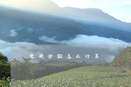逾期金额怎么计算 逾期金额怎么计算