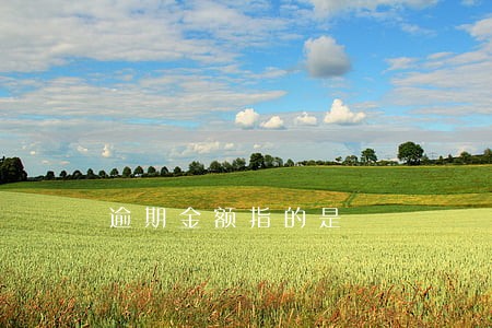 逾期金额指的是 逾期金额指的是