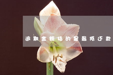 逾期金额指的是最低还款额吗 逾期金额指的是最低还款额吗