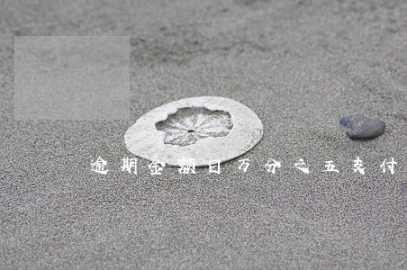 逾期金额日万分之五支付违约金 逾期金额日万分之五支付违约金