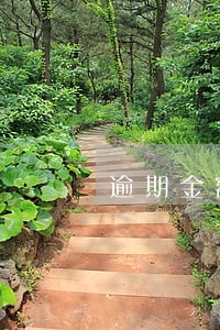 逾期金额日千分之五 逾期金额日千分之五
