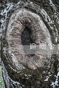 逾期金额是0什么意思 逾期金额是0什么意思