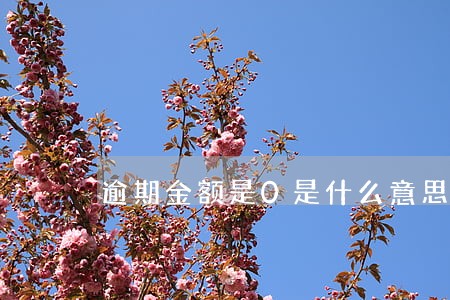 逾期金额是0是什么意思 逾期金额是0是什么意思