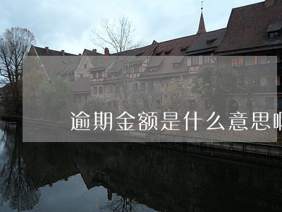 逾期金额是什么意思啊 逾期金额是什么意思啊
