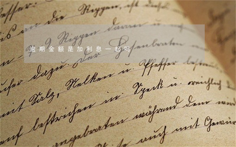 逾期金额是加利息一起吗