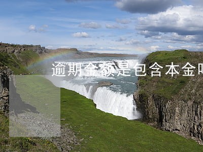 逾期金额是包含本金吗