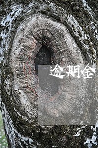 逾期金额是否以征信报告为准