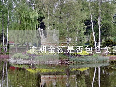 逾期金额是否包含欠款 逾期金额是否包含欠款