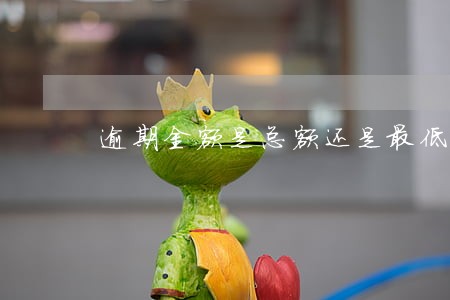逾期金额是总额还是最低 逾期金额是总额还是最低
