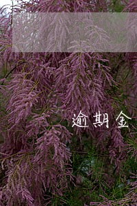 逾期金额是指本金和利息吗 逾期金额是指本金和利息吗
