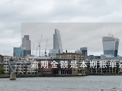 逾期金额是本期账单还是总额