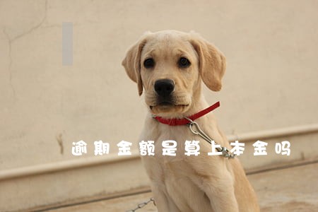 逾期金额是算上本金吗 逾期金额是算上本金吗