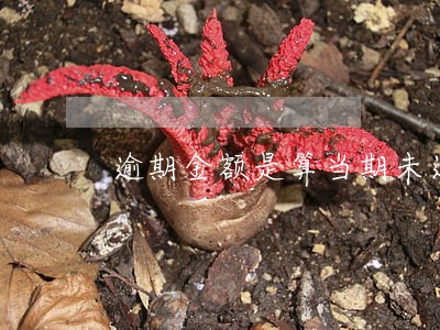 逾期金额是算当期未还 逾期金额是算当期未还