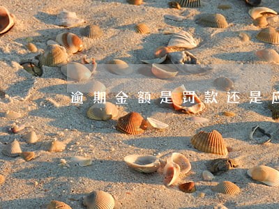 逾期金额是罚款还是应还利息 逾期金额是罚款还是应还利息