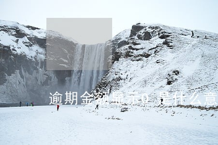 逾期金额显示0是什么意思 逾期金额显示0是什么意思