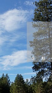 逾期金额显示一 逾期金额显示一