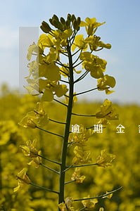逾期金额最多多少 逾期金额最多多少