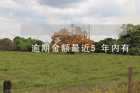 逾期金额最近5年内有 逾期金额最近5年内有