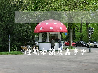逾期金额最高多少 逾期金额最高多少