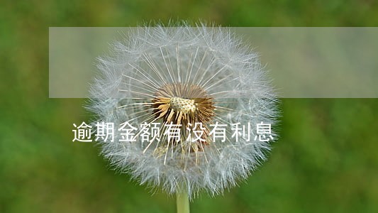 逾期金额有没有利息 逾期金额有没有利息