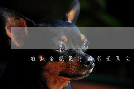 逾期金额案件编号是真实的吗 逾期金额案件编号是真实的吗