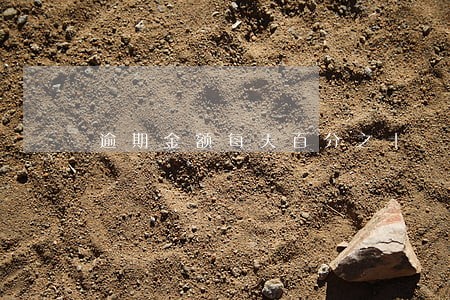 逾期金额每天百分之十 逾期金额每天百分之十