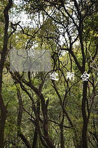 逾期金额比余额少 逾期金额比余额少