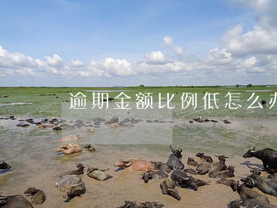 逾期金额比例低怎么办 逾期金额比例低怎么办